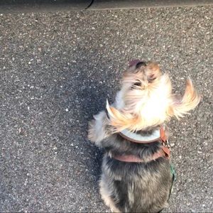 Meet your Posher, Kailei